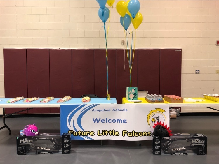 balloons and sign with the words future little falcons