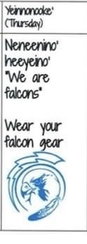 falcons 
