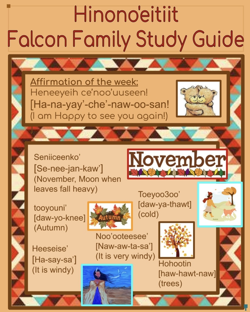 November falcon families study guide